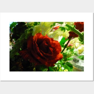 Beautiful Red Rose Posters and Art